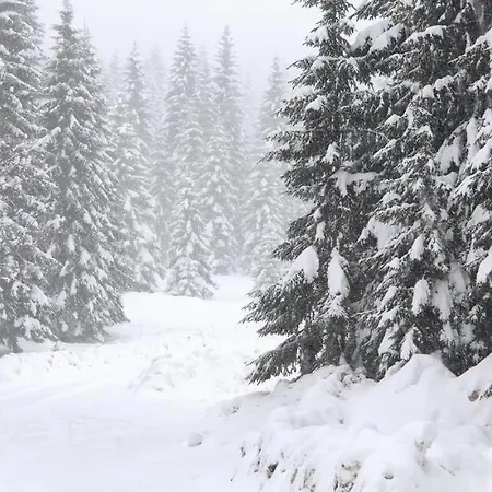 Planinarski Dom Ruzica 木屋 拉夫纳格拉