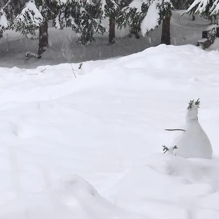 Planinarski Dom Ruzica 拉夫纳格拉