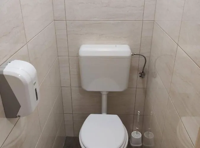 Brvnara Planinarski Dom Ruzica