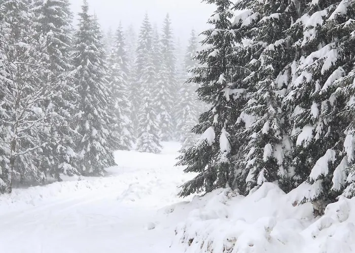 Planinarski Dom Ruzica Brvnara Ravna Gora